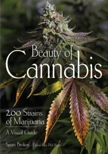 Beauty Of Cannabis: 200 Strains Of Marijuana — New Beacon Books